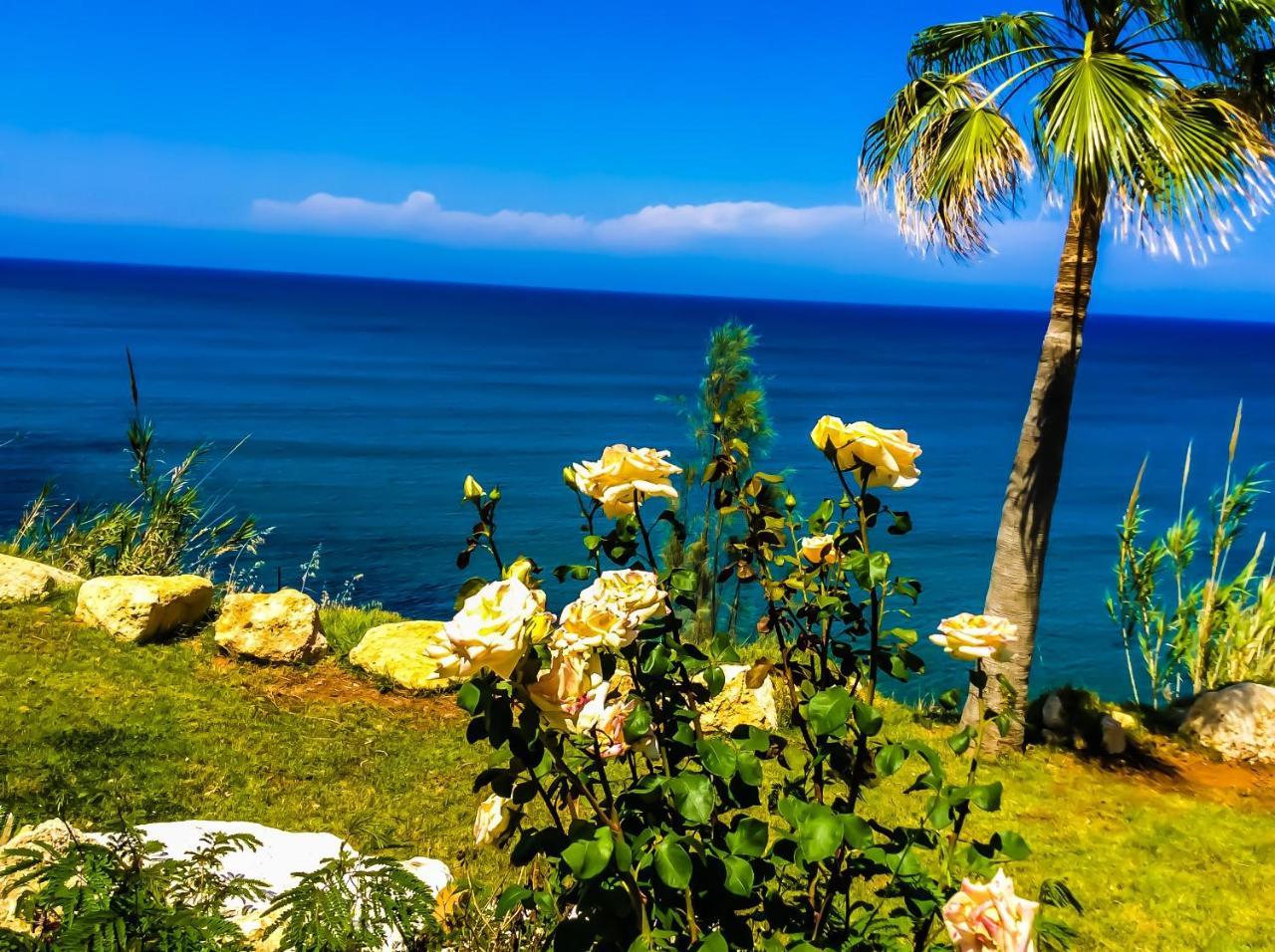 פומוס Kallinousa Beach Villa מראה חיצוני תמונה
